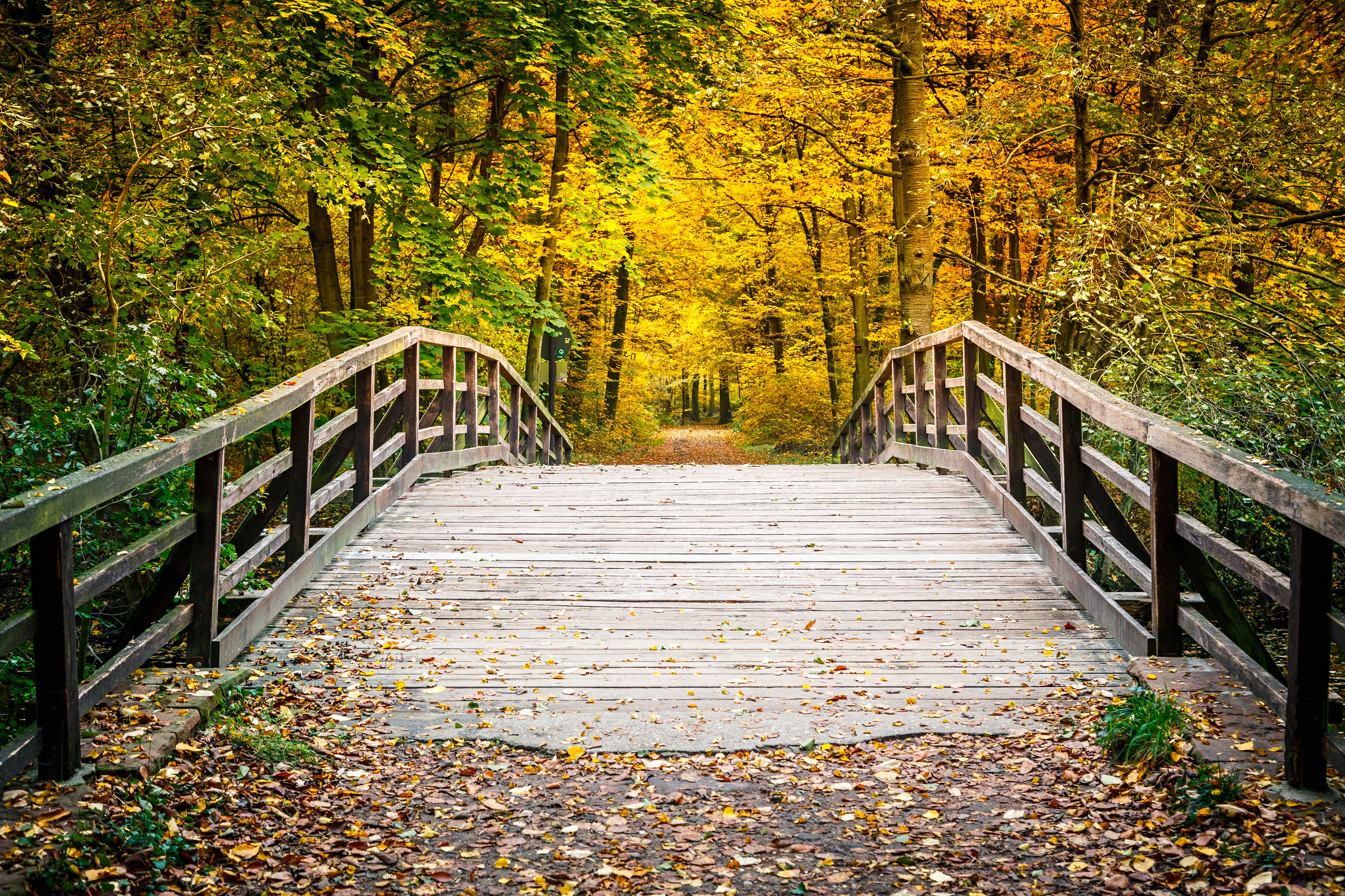 Bridge from Divorce